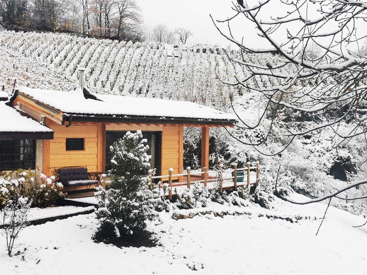 Les Marches L'Etang De La Tourne Bed & Breakfast エクステリア 写真